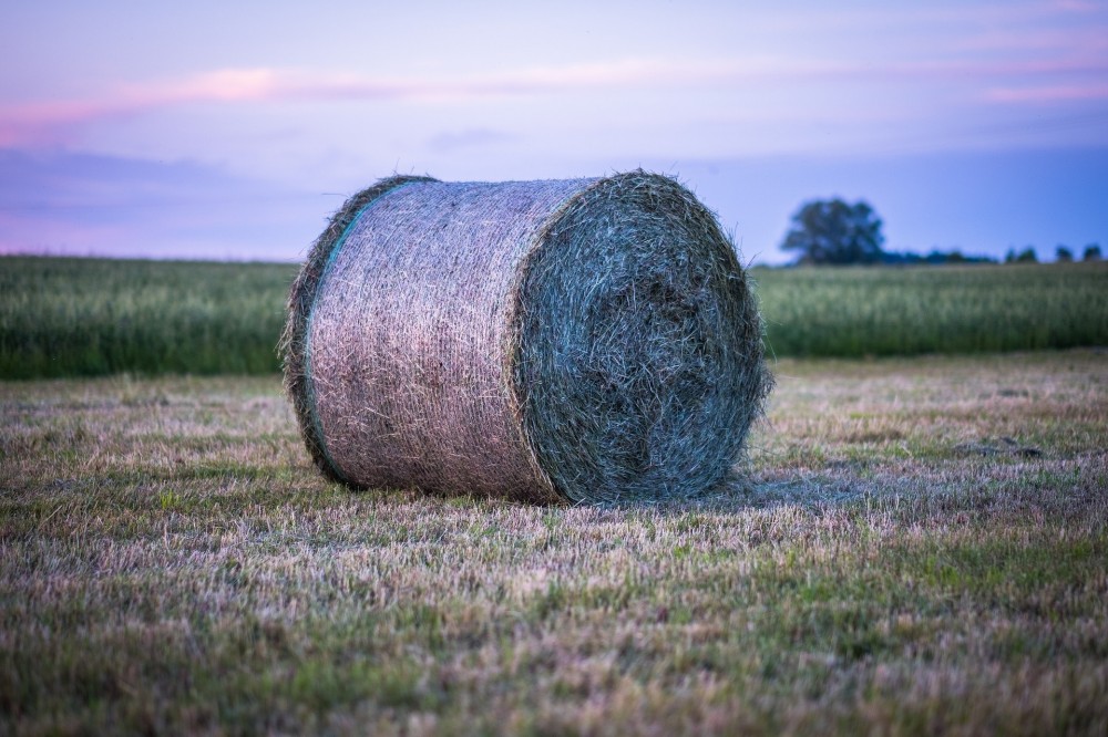 Using net wrap, twine, or plastic on hay